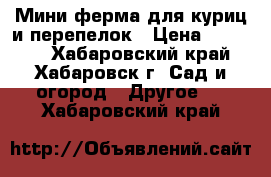 Мини-ферма для куриц и перепелок › Цена ­ 15 000 - Хабаровский край, Хабаровск г. Сад и огород » Другое   . Хабаровский край